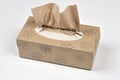 Tissue Box with Drawn Flower Royalty Free Stock Photo