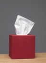 Tissue Box