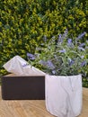 Tissue boxes and flower artificial on the table with leaves in the background Royalty Free Stock Photo