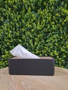 Tissue boxes on the table with leaves in the background Royalty Free Stock Photo