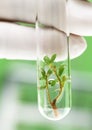 Tissue culture concept