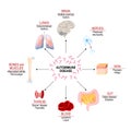 Tissues of the human body affected by autoimmune attack