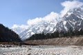 from tista river bank, Yumthang valley of north sikkim. Royalty Free Stock Photo