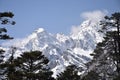 From tista river bank, Yumthang valley of north sikkim. Royalty Free Stock Photo