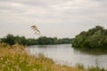 The Tisza river in early Summer in South Hungary