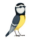 Tit bird in standing position. Titmouse in cartoon flat style beautiful character. Vector illustration isolated on white Royalty Free Stock Photo