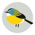 Tit bird vector illustration flat style profile side Royalty Free Stock Photo