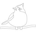 Tit bird vector illustration line coloring front Royalty Free Stock Photo