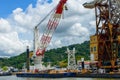 Titan Herman the German dwarfs the Huisman crane on the Panama canal