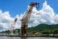 Titan Herman the German dwarfs the Huisman crane on the Panama canal