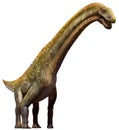 Titanosaurus from the Cretaceous era 3D illustration Royalty Free Stock Photo