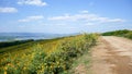 Tithonia diversifolia or Mexican sunflower blue sky beautiful with dirt road at Mae Moh district,Lampang province,Thailand.Plant Royalty Free Stock Photo