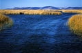 Titicaca Lake Royalty Free Stock Photo