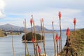 Titicaca's Sun islands plants Royalty Free Stock Photo