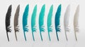 Feathers in gradient Turquoise colors isolated on white background