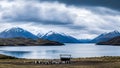 Title: Group of penguins standing on a rocky shore with a mountain range and lake in the background Royalty Free Stock Photo