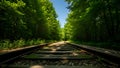 Title: Railway tracks extending into a dense green forest with sunlight creating a tunnel effect Royalty Free Stock Photo