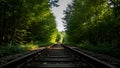 Title: Railway tracks extending into a dense green forest with sunlight creating a tunnel effect Royalty Free Stock Photo
