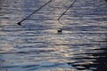 Title

ripples in water. water surface reflection
and sea gull Royalty Free Stock Photo