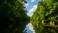 Title: Serene river flowing through a dense green forest with clear reflections on the water surface Royalty Free Stock Photo