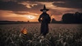 Shadow Guardian Halloween Scarecrow at Sunset