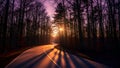 Title: A winding road surrounded by tall trees with the sun setting in the distance creating a Royalty Free Stock Photo