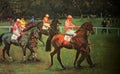 Racehorse painting by Sir Alfred Munnings