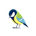 Titmouse bird or Great tit is a passerine bird in the tit family Paridae. Cartoon flat style beautiful character of