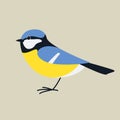 Titmouse bird, vector illustration, flat style, side