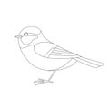 Titmouse bird, vector illustration, lining draw , side