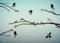 Titmouse birds on the dog-rose tree branch in winter season, family of birds in snowy cold whether, Royalty Free Stock Photo