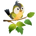 Titmouse. Color image of cartoon bird on branch on white background. Vector illustration for kids