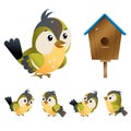 Titmouse. Color images of cartoon bird with birdhouse on white background. Vector illustration set for kids