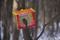 Titmouse and feeder in the winter park Royalty Free Stock Photo