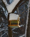 Titmouse near the feeder in a winter park Royalty Free Stock Photo