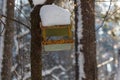 Titmouse near the feeder in a winter park Royalty Free Stock Photo