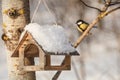 Titmouse sitting near the bird feeders / little bird chickadee