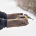 A man feeds birds in the park in cold winter, a titmouse flew to the feeder, with kindness and care for wild birds Royalty Free Stock Photo