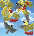 Tits fly among the branches Royalty Free Stock Photo