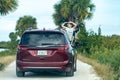 Family looks for wildlife, with children hanging out the windows, at the Merritt Island