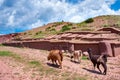 Tiwanaku. Ruins in Bolivia,