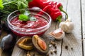 Tkemali sauce and ingredients Royalty Free Stock Photo