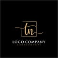 TN Initial handwriting logo with rectangle template vector