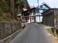 TN Road Darjeeling scenery road Pine trees at Bock ground.