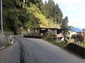 TN Road Darjeeling scenery road Pine trees at Bock ground.