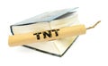 TNT dynamite stick with wick Royalty Free Stock Photo