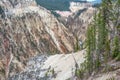 Grand Canyon of the Yellowstone from the North Rim Trail, Yellowstone National Park, Wyoming