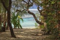 To the beach - Efate Island Royalty Free Stock Photo