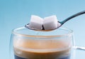 To cubes of sugar in spoon Royalty Free Stock Photo