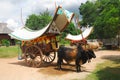 Bullock cart ride Royalty Free Stock Photo